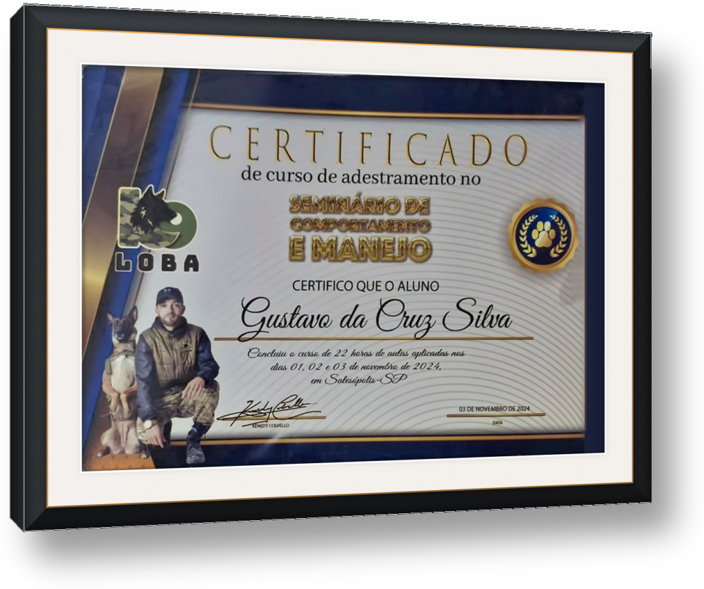 quadro-certificado-1-seminario