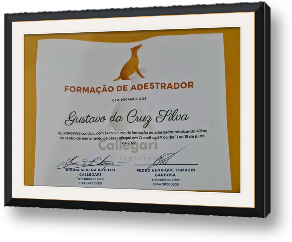 quadro-certificado-2-formacao