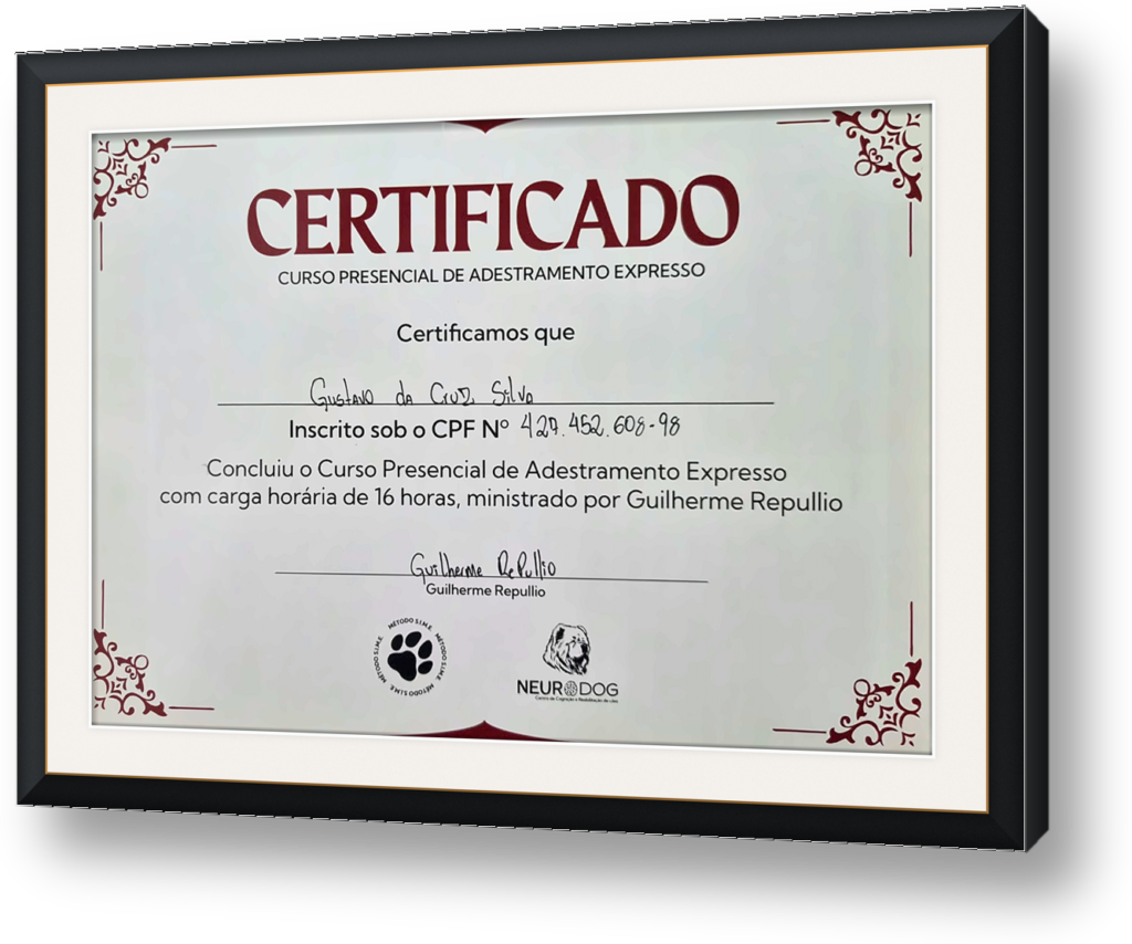 quadro-certificado-4-neurodog