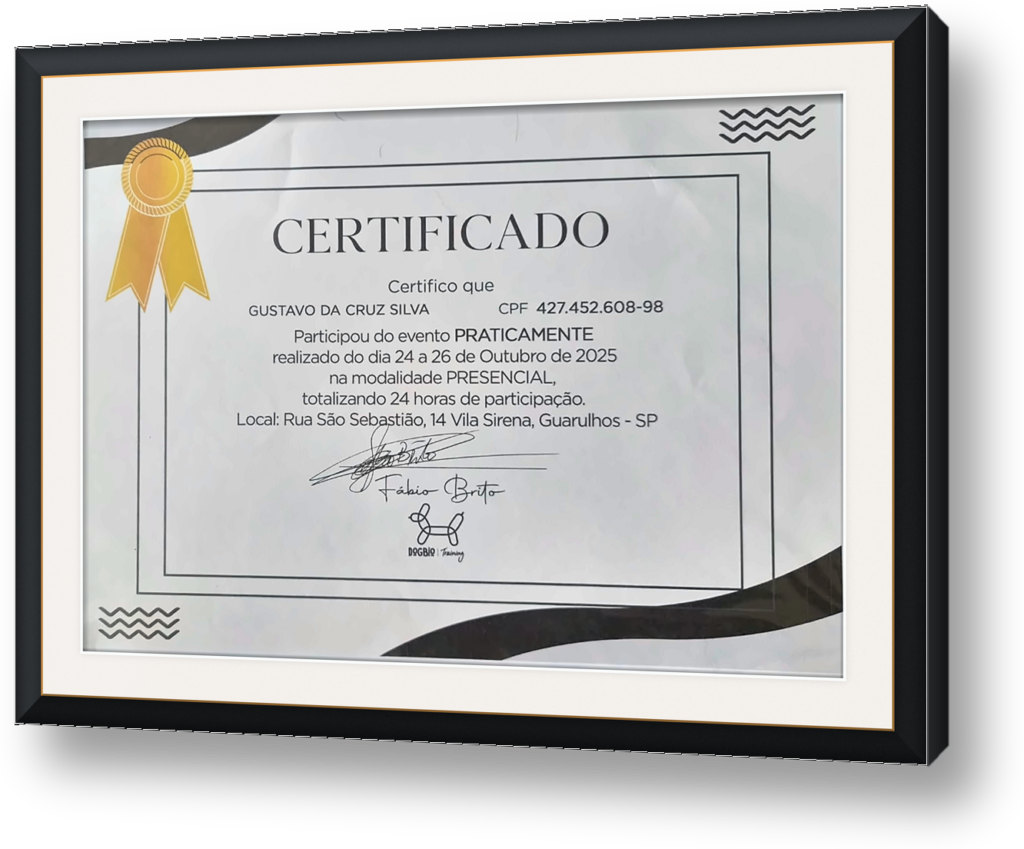 quadro-certificado-6-praticamente